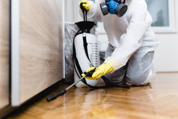 Best Insect Control  in Brea, CA