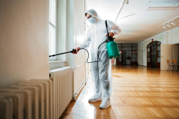 Best Pest Removal Services  in Brea, CA